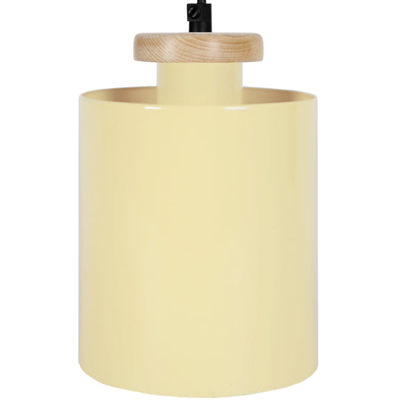 <tc>Suspensão UZIBUZE  13,5cm - 1 Luz  </tc>