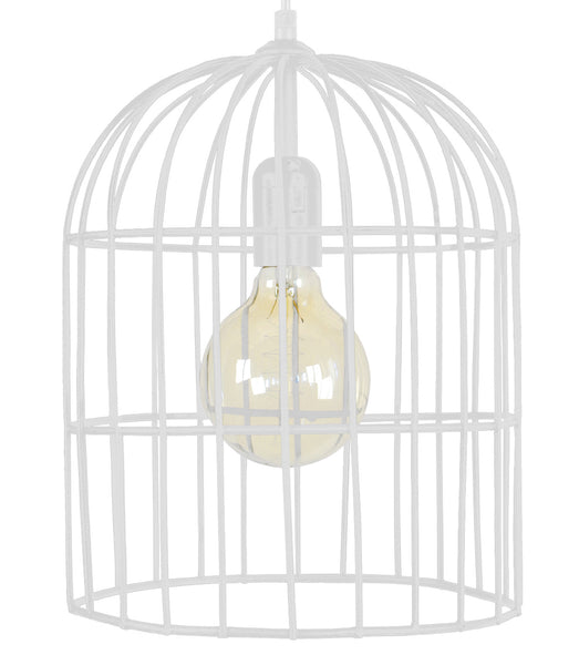 <transcy>Suspensão CAGE  24cm - 1 Luz </transcy>