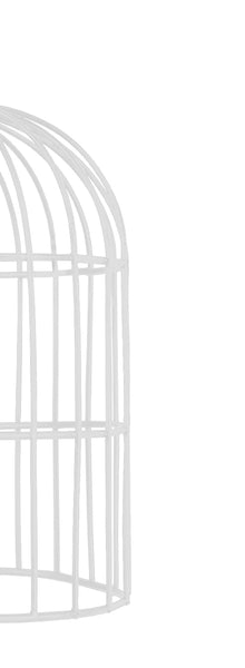 <transcy>Suspensão CAGE  24cm - 1 Luz </transcy>