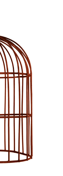 <transcy>Suspensão CAGE  24cm - 1 Luz </transcy>