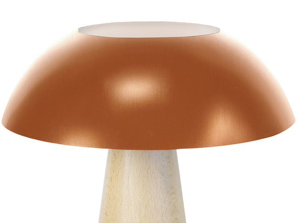 Lampe a poser TOSEL STAR TREK,bois , H35xD30xP30  cm.