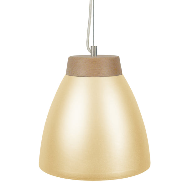 <tc>Suspensão TROFA - BI  25cm - 1 Luz  </tc>