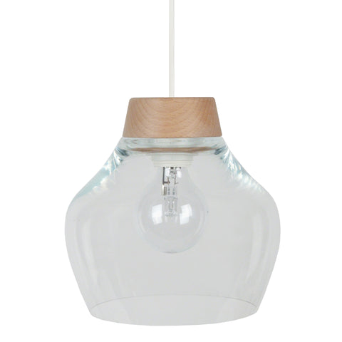 <transcy>Suspensão NATURE  20cm - 1 Luz </transcy>