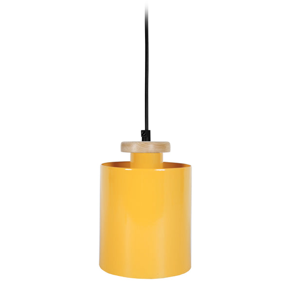 <tc>Suspensão UZIBUZE  13,5cm - 1 Luz  </tc>