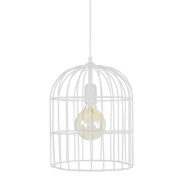 <transcy>Suspensão CAGE  24cm - 1 Luz </transcy>